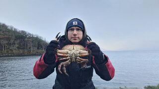 Холодный запад Шотландии: поллак на Sandy Andy и крупный бурый краб