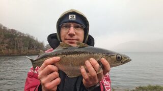 Холодный запад Шотландии: поллак на Sandy Andy и крупный бурый краб
