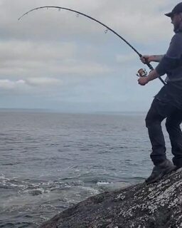 Скат Эйдана Нисбета в Шотландии на Excalibur Catfish класса 6 lb