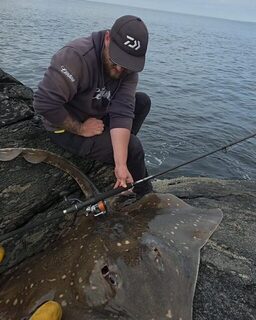 Скат Эйдана Нисбета в Шотландии на Excalibur Catfish класса 6 lb