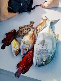 Груперы и каранкс у Пасикуды: с местной рыболовной командой