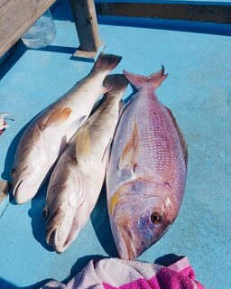 Груперы и морской лещ у Адрасана: вспоминаем джиговую ловлю