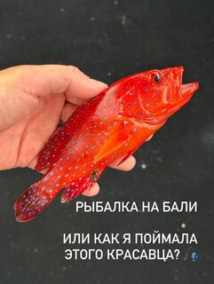 Вторая рыбалка в жизни у Чандидасы совсем не походила на подмосковные речки