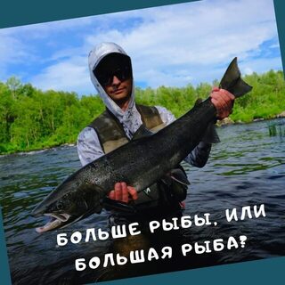 Печенга от большой воды до тинды: наблюдения о ходе сезона