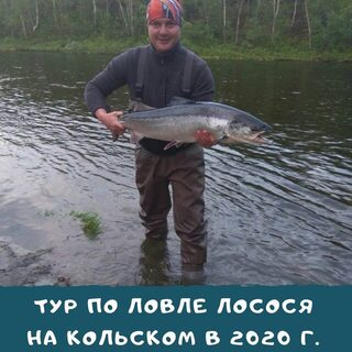 Печенга в предложении 2020 года: палаточный лагерь и лососевая неделя
