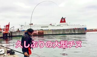 В Осакском заливе новый поплавок понравился устойчивостью под водой