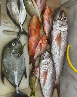 Вечерняя рыбалка с Тодду и разный морской улов у лодки
