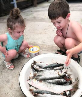 Очамчира, Черное море: удачный день с уловом кефали