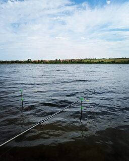 После редких выездов несколько часов на Донецком море дали отвести душу
