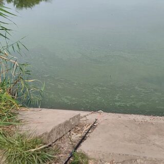 Поплавочную рыбалку устроили у берега Луганского моря