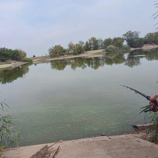 Поплавочную рыбалку устроили у берега Луганского моря