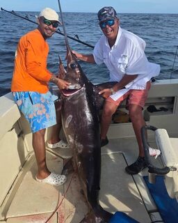 Меч-рыба и голубой марлин у Канавиейраса на Majestic Marlin