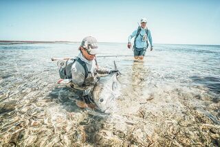 Космоледо на Сейшелах: атолл в публикации Blue Safari Fly Fishing