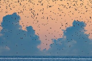 Космоледо на Сейшелах: атолл в публикации Blue Safari Fly Fishing