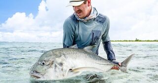 Сезон Космоледо: девятнадцать GT за метр и крупнейший на 124 см