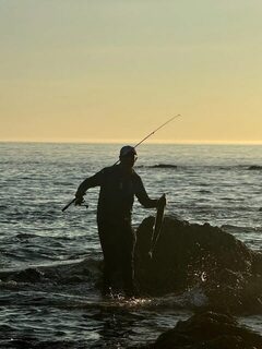 Сахалинский улов: кета из Охотского моря