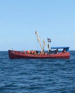 Охотское море без передышки: много камбалы и шесть минтаев