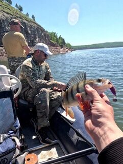 Щука с нашего лодочного выезда на Красноярское море