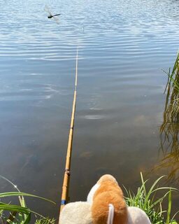 На Загорском водохранилище в солнечный день ждали начала клева