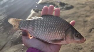 Класс школы Дарование вышел рыбачить к Загорскому морю после уроков