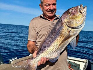 Корсика, Аяччо: серия дентексов на морском троллинге
