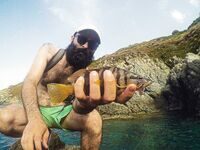 С каменистого берега Корсики ловили морскую рыбу нахлыстом