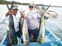 Махи-махи вошли в улов на морском выезде у панамского Педаси