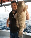 Живец принес групера на морской рыбалке у Акбюка и Дидима
