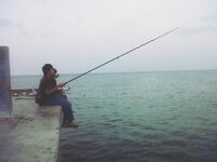 Снова вспоминаем рыбалку с пирса Алам-Индах в Яванском море