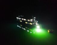 Кальмара с ночной рыбалки в Халонге подали к ужину на следующий день