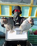 Два разных вида рыбы в улове с лодочной рыбалки у Вунгтау