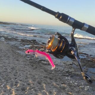 Перед работой на Шикмоне взяли локуса 53 см на розовый Black Minnow