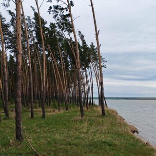 Усть-Алеус под ветром: холодная мокрая рыбалка на Обском море