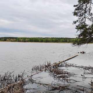 Усть-Алеус под ветром: холодная мокрая рыбалка на Обском море