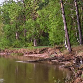 Усть-Алеус под ветром: холодная мокрая рыбалка на Обском море