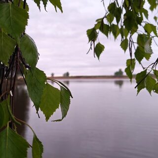 Усть-Алеус под ветром: холодная мокрая рыбалка на Обском море