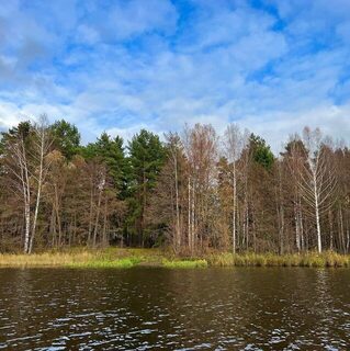 На Горьковском водохранилище джерк выручил после провала пелагики
