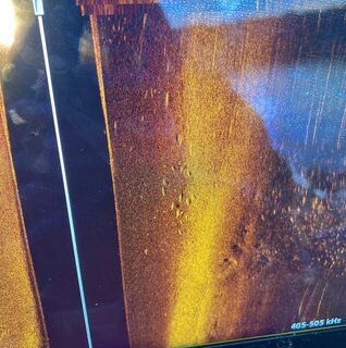 На Горьковском водохранилище джерк выручил после провала пелагики