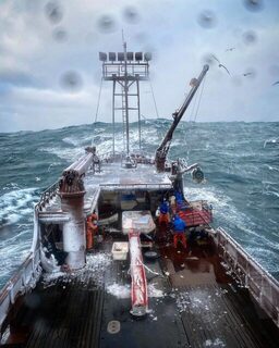 Arctic Lady завершала первый рейс на треску в холодном Беринговом море