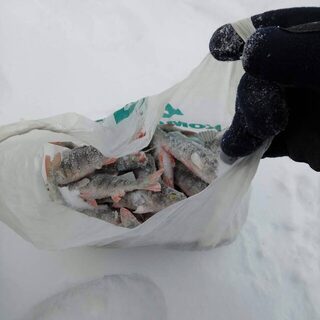 В Бирюсинском заливе выбрались на рыбалку