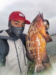 Пятнистый групер из Марины в Бузиусе запомнился своей окраской
