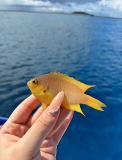 Первый морской выезд из Нахи быстро принес рыбу, но без гигантов