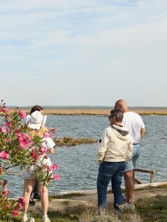 Пеллестрина в последний день Венеции: моэке и обед у лагуны
