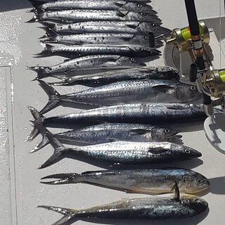 Антигуа: удачный выход на глубоководную морскую рыбалку