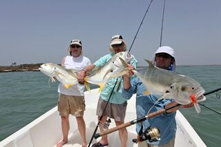 Каранксы из Гвинеи-Бисау: улов рыболовной команды ProFishing