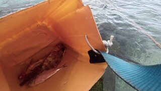 Ароранги с бамбуковым удилищем: по грудь в воде без катушки