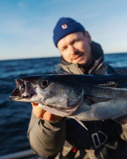 С Fishing Beyond вышли к датскому Желтому рифу за крупной рыбой