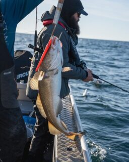 С Fishing Beyond вышли к датскому Желтому рифу за крупной рыбой