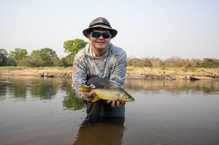 Камерун нахлыстом: нильский окунь, тигровые рыбы и сломанные удилища