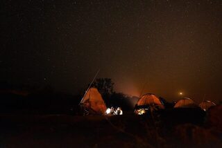 Первая неделя на Фаро: нильский окунь и тигровая рыба у Gassa Camp
